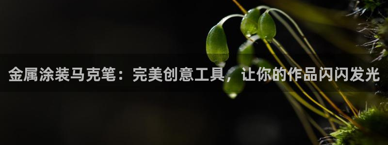 美高梅酒店在哪个区