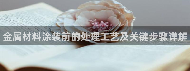 美高梅是谁的酒店