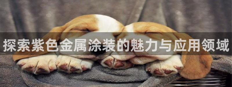 美高梅公司简介怎么写