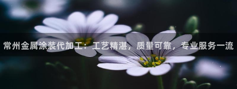 美高梅中国是什么公司