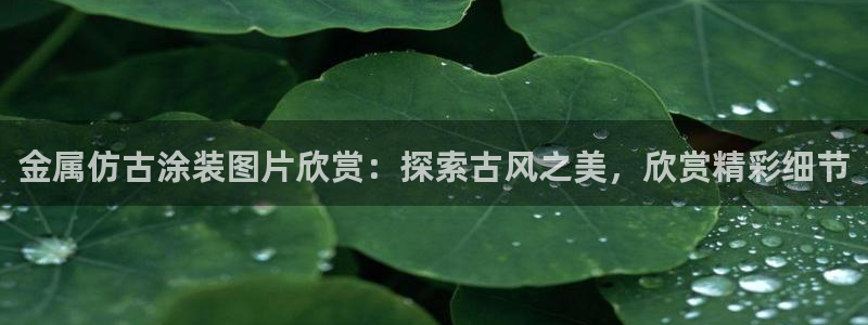 美高梅酒店多少钱一晚上海