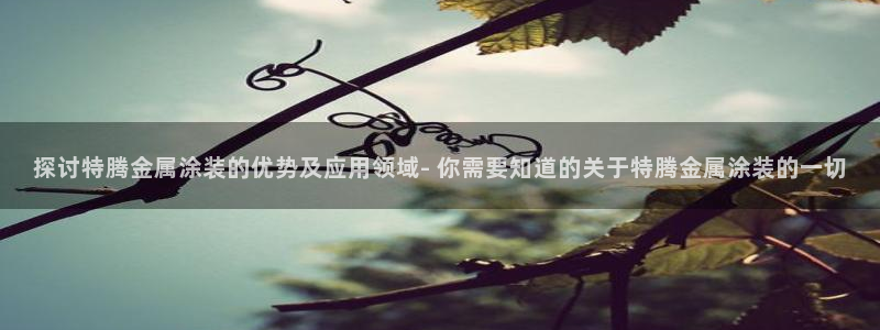 美高梅北京塞车