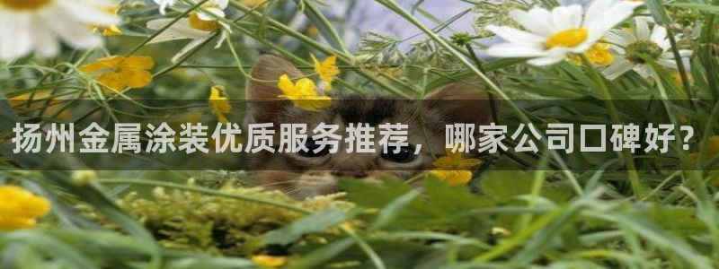 美高梅住一晚多少钱