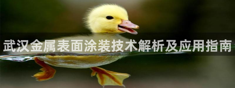 美高梅会员卡和新濠天地卡一样吗