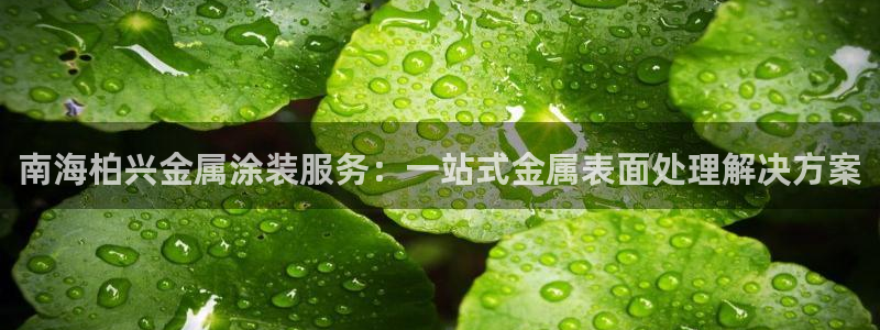 美高梅中国集团简介