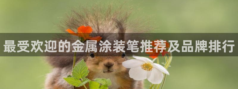 美高梅酒店有几家