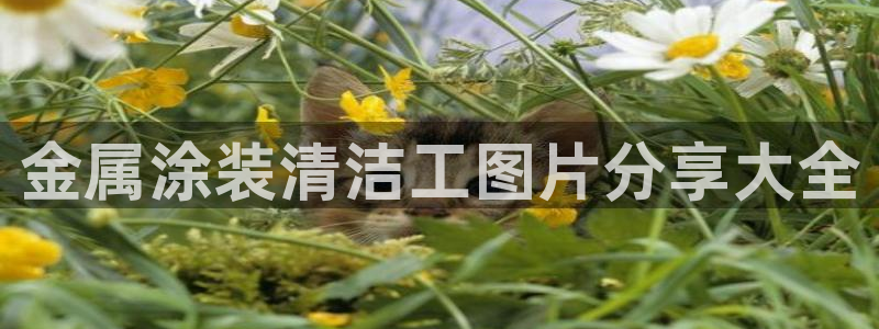 美高梅董事长
