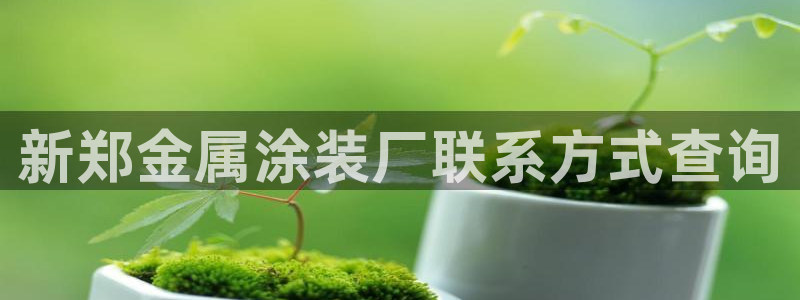 美高梅冯小峰简介