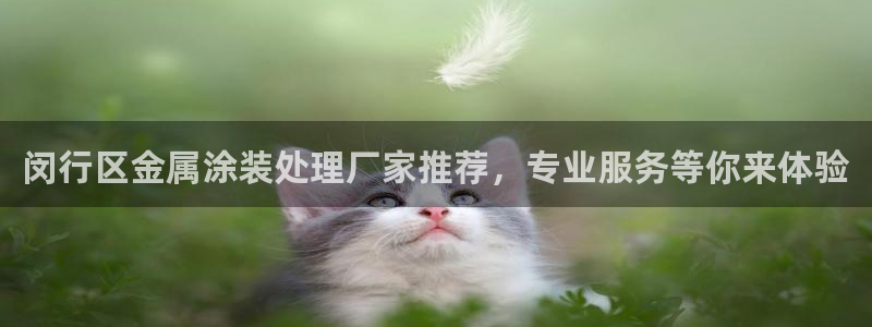 美高梅别墅可以买吗