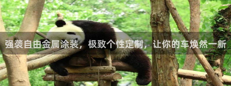 美高梅大酒店图片