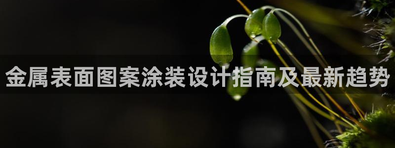 美高梅酒店里的矿泉水免费吗