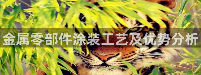 美高梅酒店和丽思卡尔顿哪个好