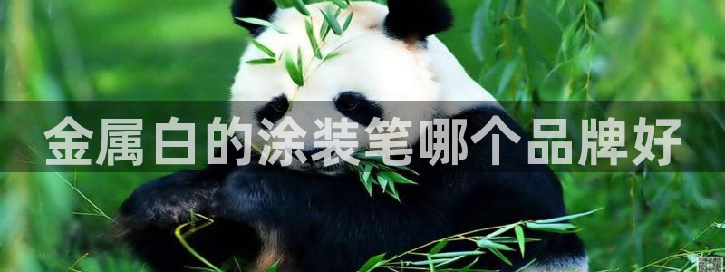 美狮美高梅淳餐厅