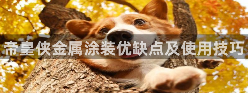 美狮美高梅酒店集团