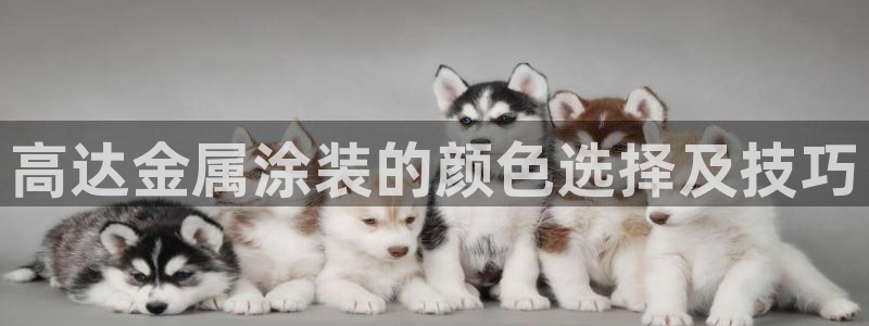 美高梅海口