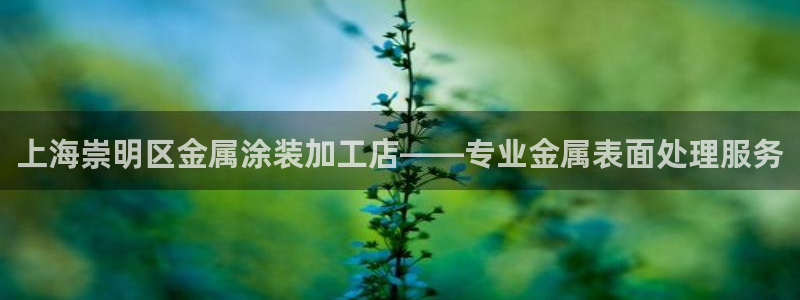 美高梅集团是哪个国家