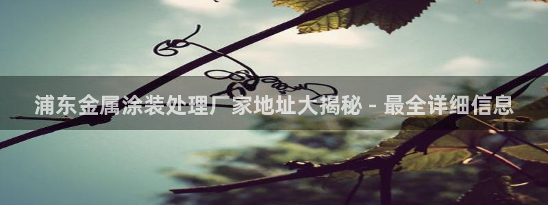 美高梅直营游戏
