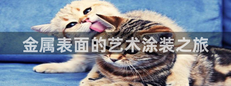 美高梅年卡