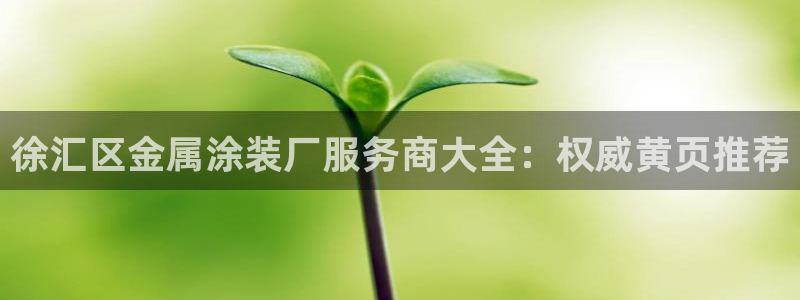 美高梅ip