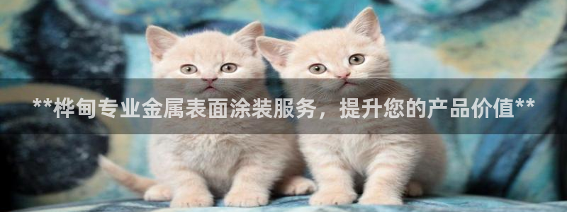 美高梅手机游戏怎么玩
