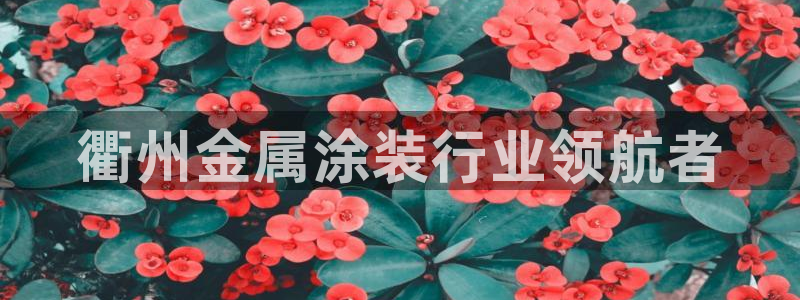 美狮美高梅酒店