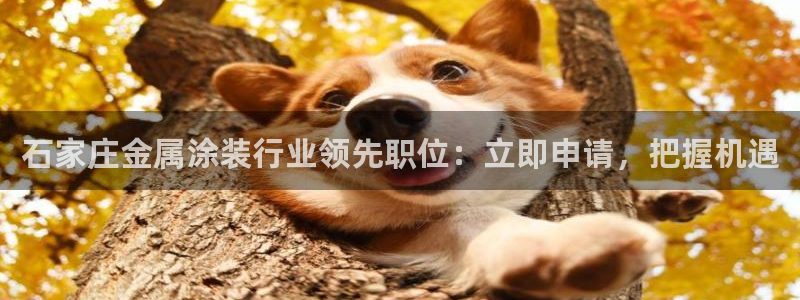 美高梅和米高梅是什么关系啊