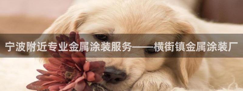 美高梅股票和美高梅中国的关系