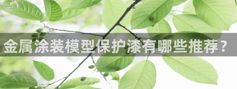 美高梅别墅宋家庄