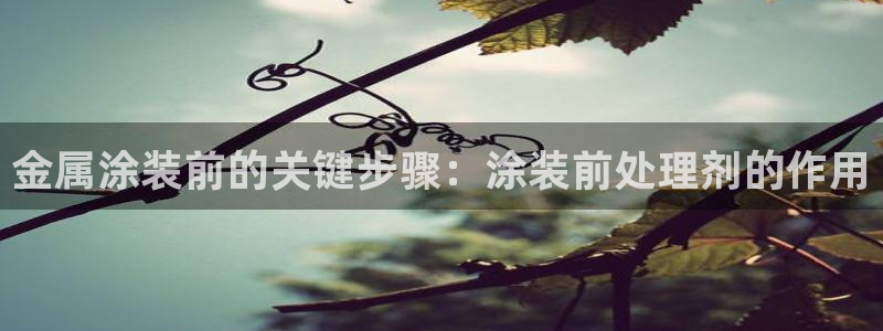美狮美高梅酒店股东