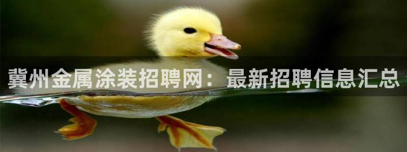 美高梅筹码图片