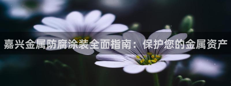 美高梅别墅售楼处