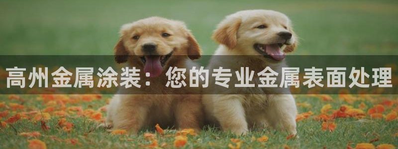 美高梅是谁的公司
