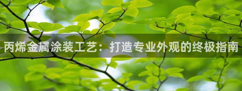 美高梅会员卡级别分类