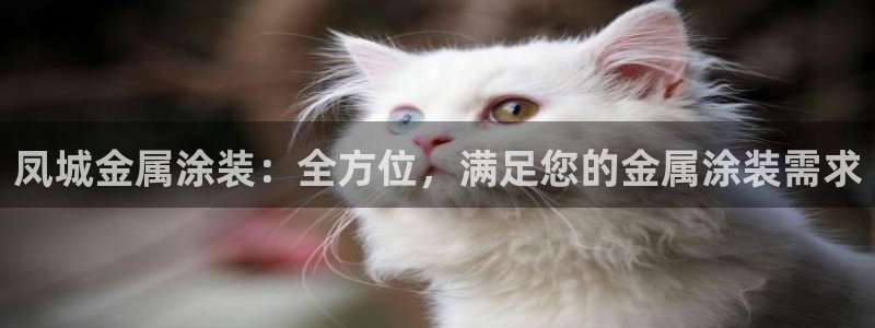 美高梅酒店何超琼为陈百强所建立