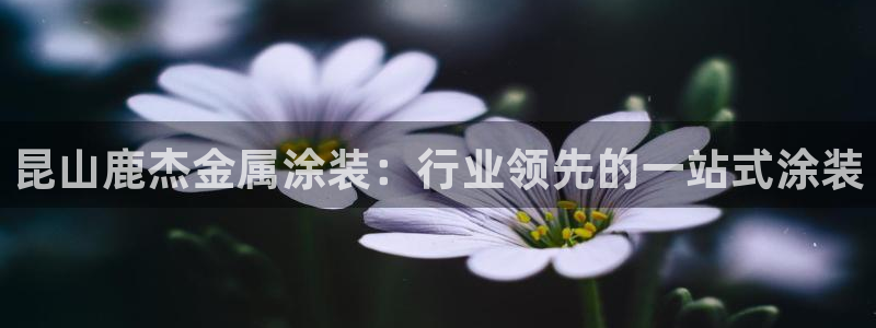 美高梅门前的狮子