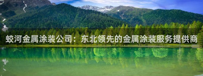 美高梅股东何超琼