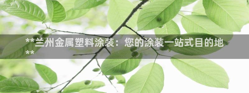 美高梅是做什么的宁波