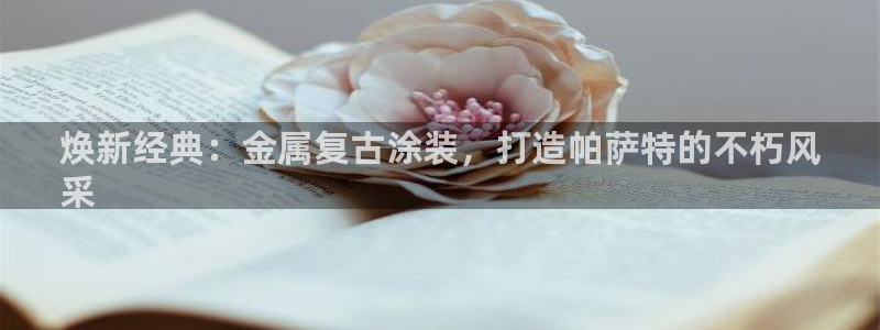美高梅是上市公司吗