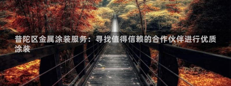 美高梅中国集团简介