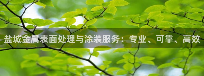 美高梅集团何超琼
