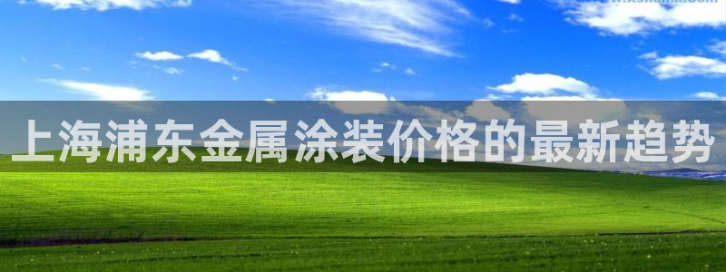 美高梅中国控股有限公司 介绍