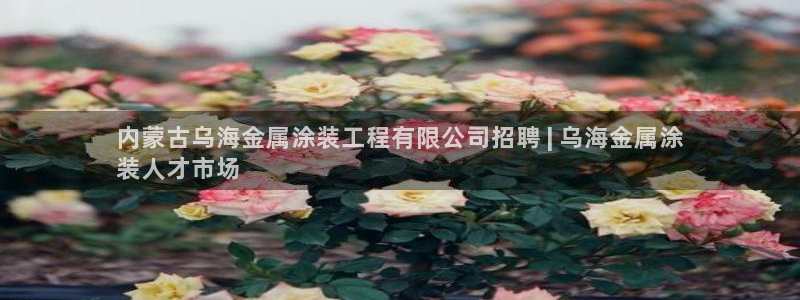美狮美高梅商场