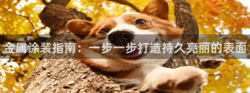 美高梅游戏苹果手机版