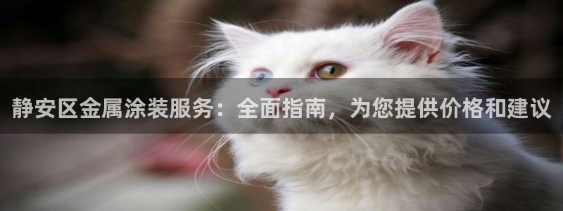 美高梅筹码5000跟100000的区别