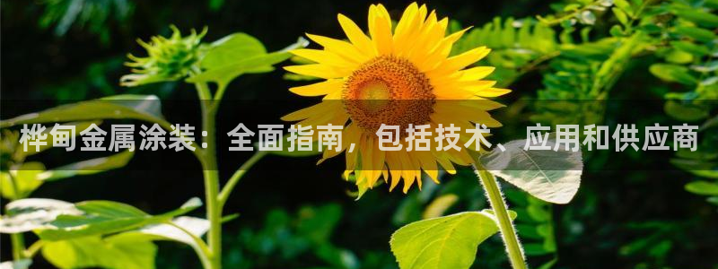美高梅公司厅