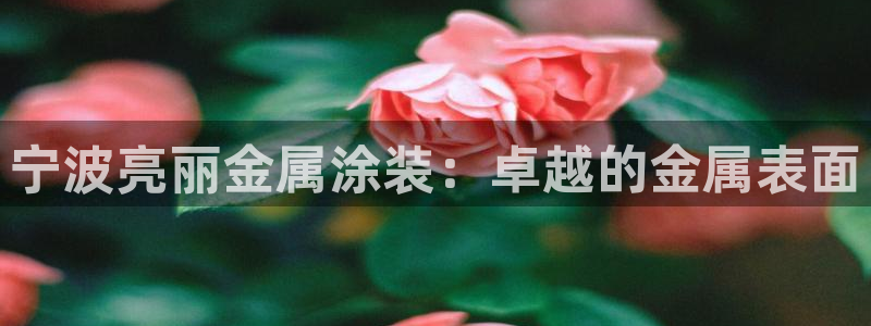 美高梅会员等级怎么升