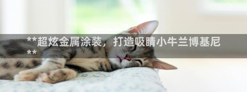 美高梅酒店自助早餐攻略