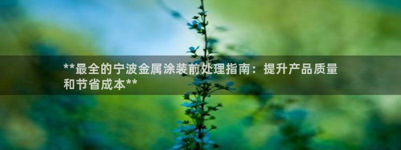 美高梅空中海洋秀时间