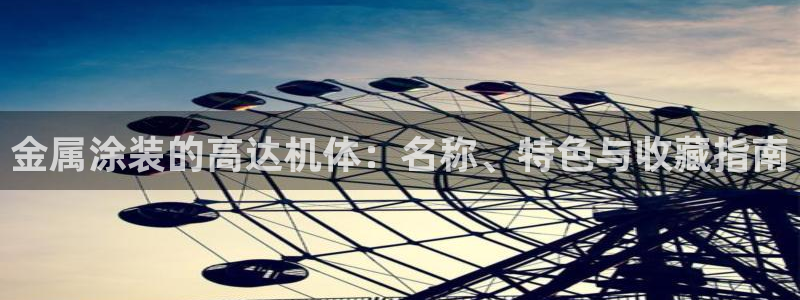 美高梅是个什么公司