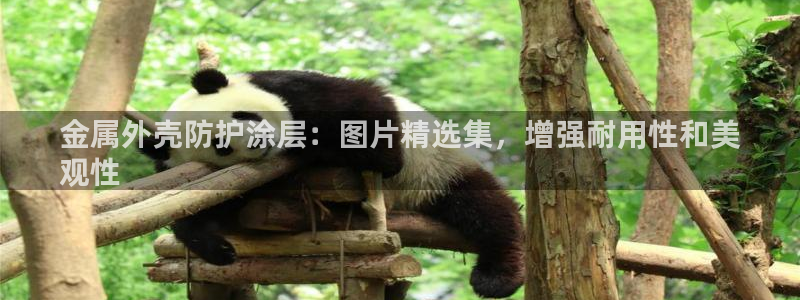 美高梅酒店管理有限公司